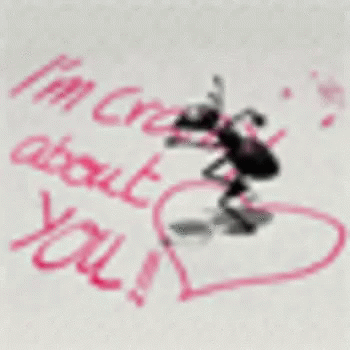 I M Crazy About You Gifs Tenor