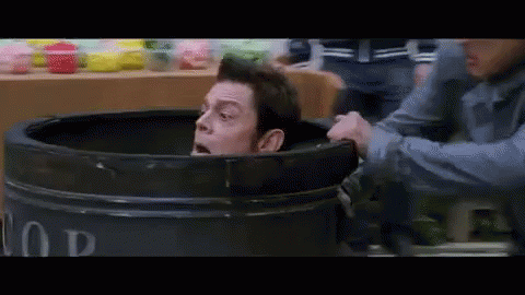funny gif gif funny