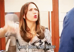 ann perkins gifs tenor