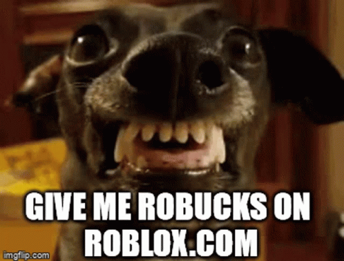 roblox doge gif