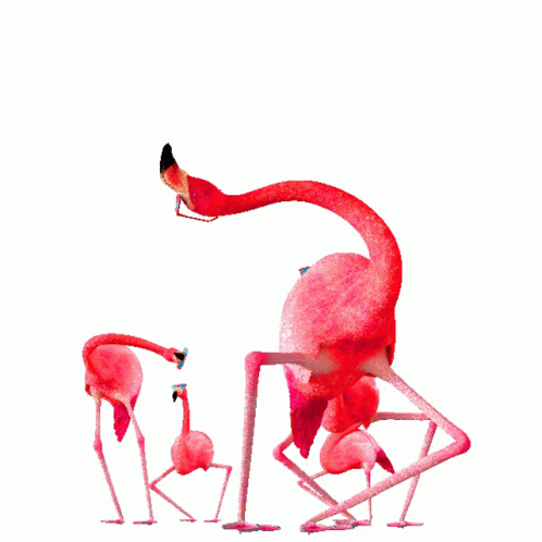pink flamingos youtube