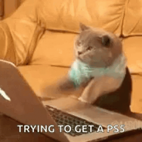 Typing Laptop GIF - Typing Laptop Cat GIFs