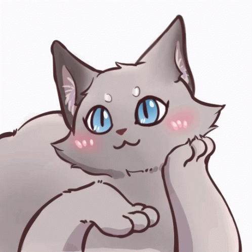 Cat Blush GIF - Cat Blush - Discover & Share GIFs