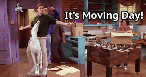 Image result for moving day gif