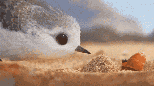 tenor.gif