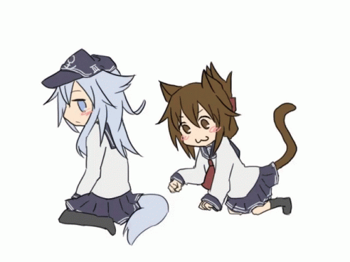 anime cat gif anime