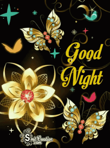 Good Night Butterfly GIF - GoodNight Butterfly - Discover & Share GIFs
