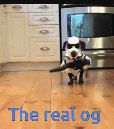 gif machine gun dog gif machine gun dog
