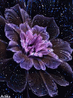 flowers animation gif flowers animation discover share gifs