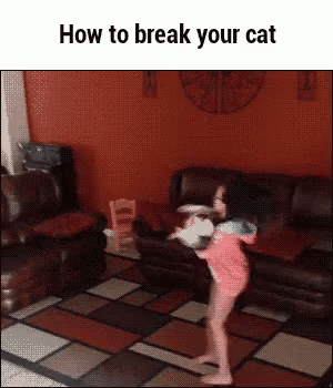 Cats Dizzy GIF  Cats Dizzy Spin Discover Share GIFs 
