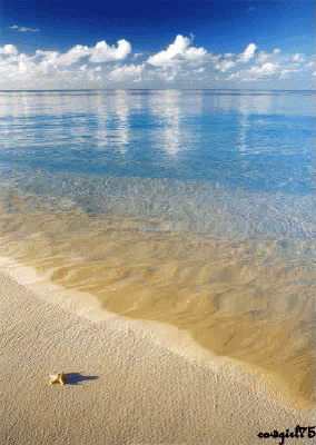 Ocean Gifs Tenor Ocean Gifs Tenor