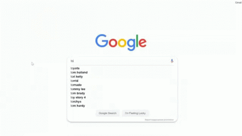 show google search engine