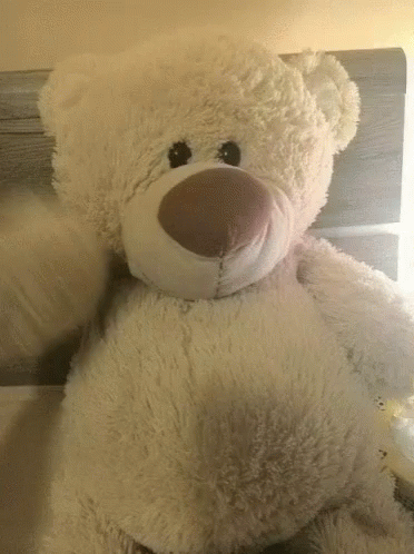 Teddy Bears GIFs | Tenor