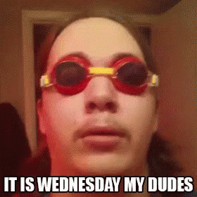 Its Wednesday My Dudes GIFs | Tenor