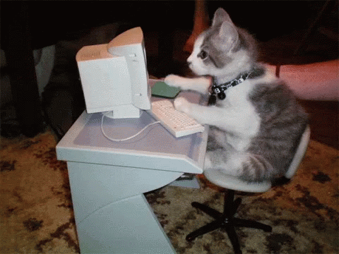 Work Cat GIF - Work Cat Typing - Discover & Share GIFs