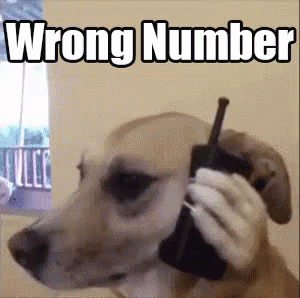 Wrong Number Gifs Tenor Wrong Number Gifs Tenor