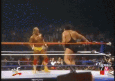 3 GIF - WWE Wrestling HulkHuogan GIFs