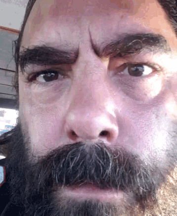 selfie beard gif selfie beard guy discover share gifs