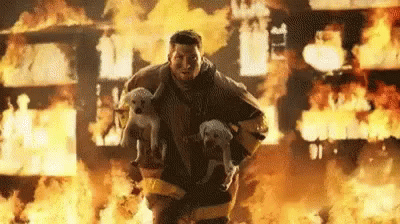 Fire Fighter Dogs GIF - FireFighter Dogs - Discover & Share GIFs