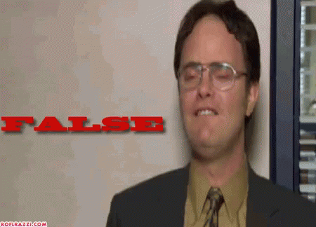 Image result for dwight schrute false
