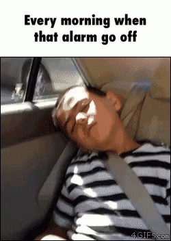 Morning Funny Gif Morning Funny Gif