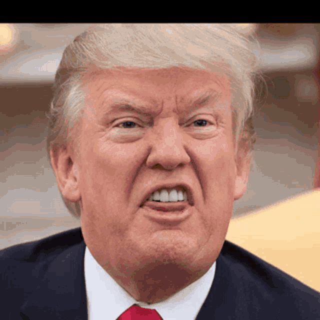 Trump Donald Hiss GIF - TrumpDonald Hiss Sir - Discover & Share GIFs