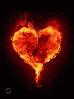 Love Fire GIFs | Tenor