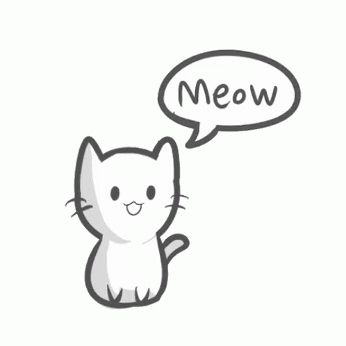 Cat Meow GIF - Cat Meow - Discover & Share GIFs