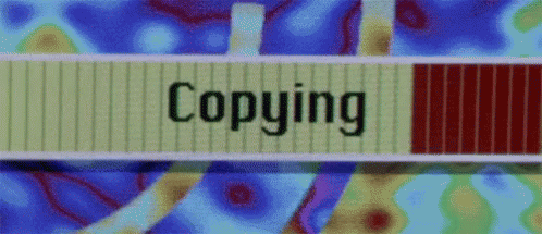 Copy Cat GIF - CopyCat GIFs