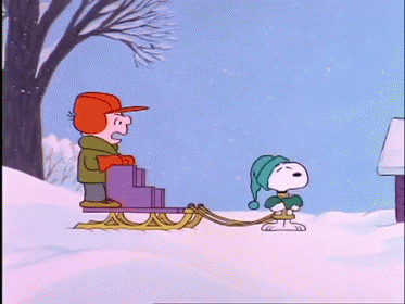 Sled Dog GIFs | Tenor