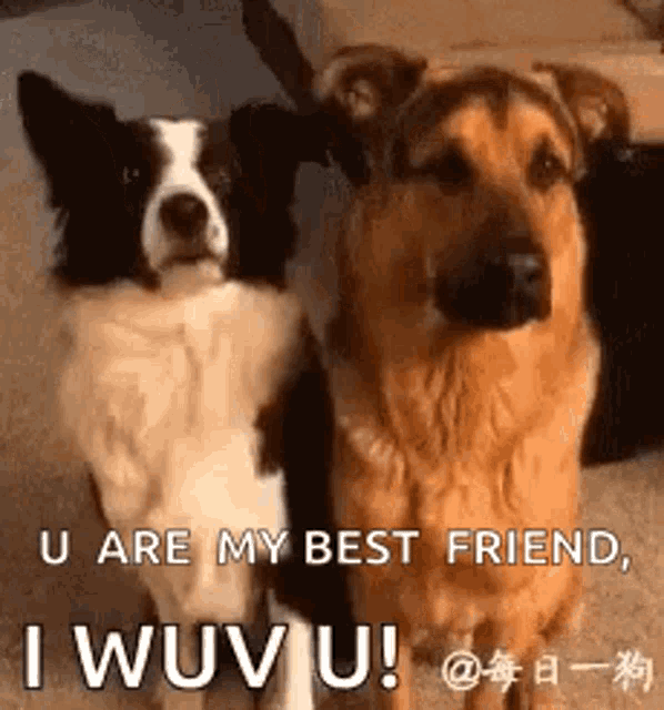 I Love U Best Friend Gifs Tenor I Love U Best Friend Gifs Tenor