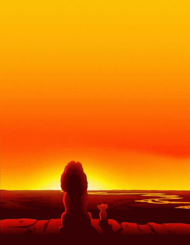 sunset orange gif orange