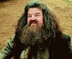 hagrid what gif hagrid what harrypotter discover share gifs
