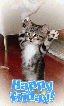 Friday Feeling Happy Friday GIF - FridayFeeling HappyFriday KittenPuppy ...