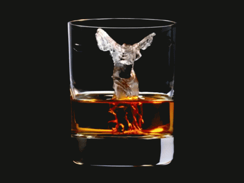 氷 ロック お酒 ウィスキー Gif Whiskey Koori Discover Share Gifs 氷 ロック お酒 ウィスキー Gif Whiskey Koori Discover Share Gifs