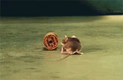 Mr Jingles The Green Mile Gif Mrjingles Thegreenmile Rolling Discover Share Gifs Mr Jingles The Green Mile Gif Mrjingles Thegreenmile Rolling Discover Share Gifs