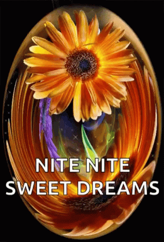 Nite Nite Sweet Dreams GIF - NiteNite SweetDreams Sparkles GIFs