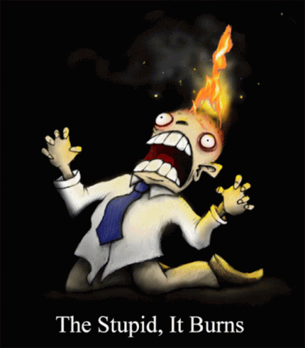 The Stupid It Burns GIF - TheStupid ItBurns HeadOnFire GIFs