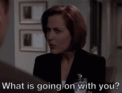 please explain gif whatisgoingon whatisgoingonwithyou explain