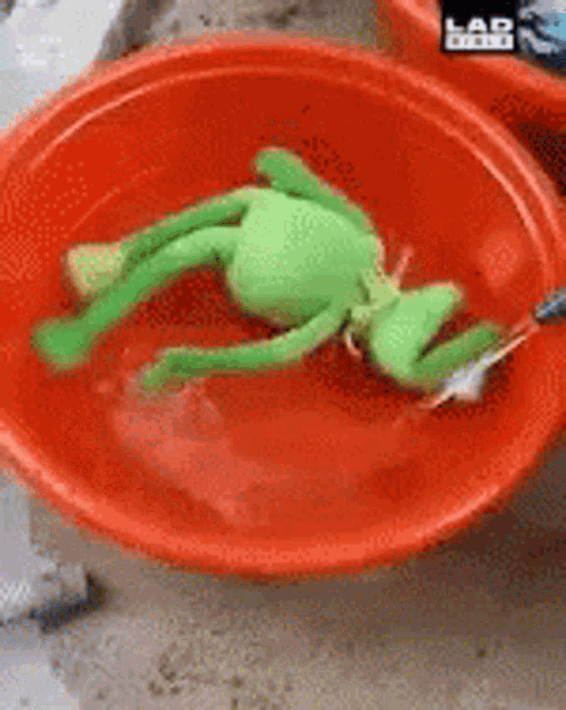 Spin Kermit The Frog GIF - Spin KermitTheFrog Funny GIFs