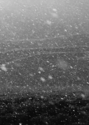 吹雪 雪 Gif Snow Aesthetic Discover Share Gifs 吹雪 雪 Gif Snow Aesthetic Discover Share Gifs
