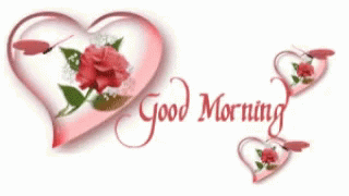 Good Morning Sweetheart Gifs Tenor