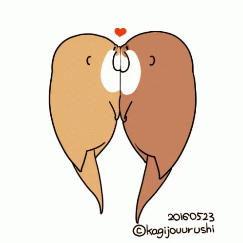 Otter Love Gif Otter Love Kisses Discover Share Gifs