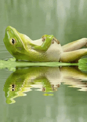 Just Chillen GIF - Just Chillen Myself - Discover &amp;amp; Share GIFs