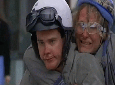 Dumb And Dumber Gifs Tenor Dumb And Dumber Gifs Tenor