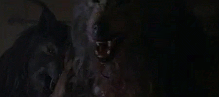 Dog Soldiers GIF - DogSoldiers - Discover & Share GIFs