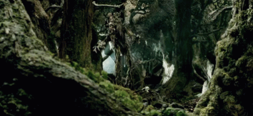 forest creature lord of the rings