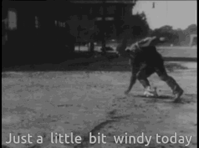 Windy Just ALittle Bit Windy Today GIF - Windy ...