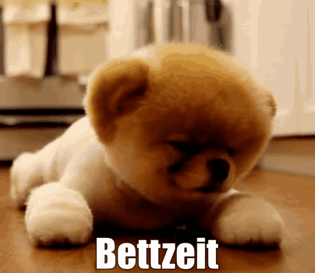 Süßer Hund Ist Müde GIF Müde Schlafen Bettzeit Discover & Share GIFs