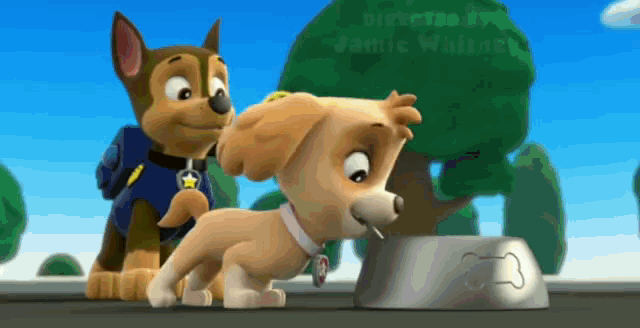 Paw Patrol Chase And Skye Cartoon | Paw Patrol Corner